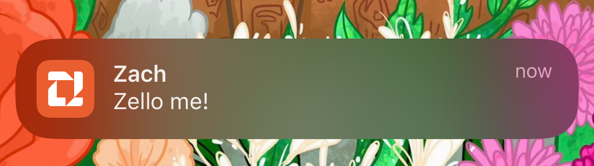 Screenshot 2024-07-15 at 10.36.05 AM.jpeg